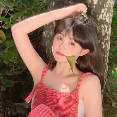 口袋机战九游版下载